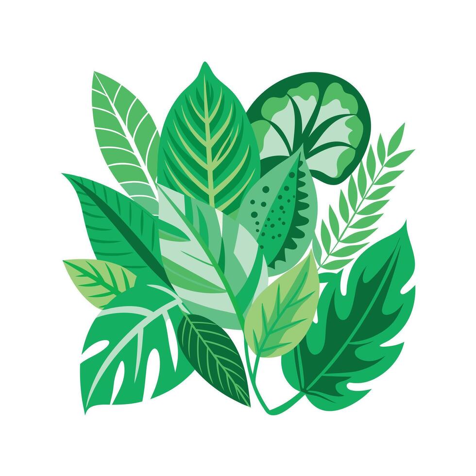Realistic Beautiful Leaves Illustration vector