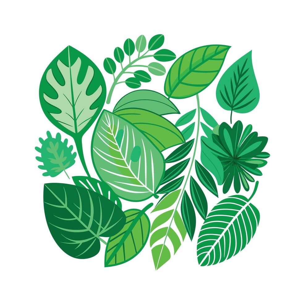 Realistic Beautiful Leaves Illustration vector