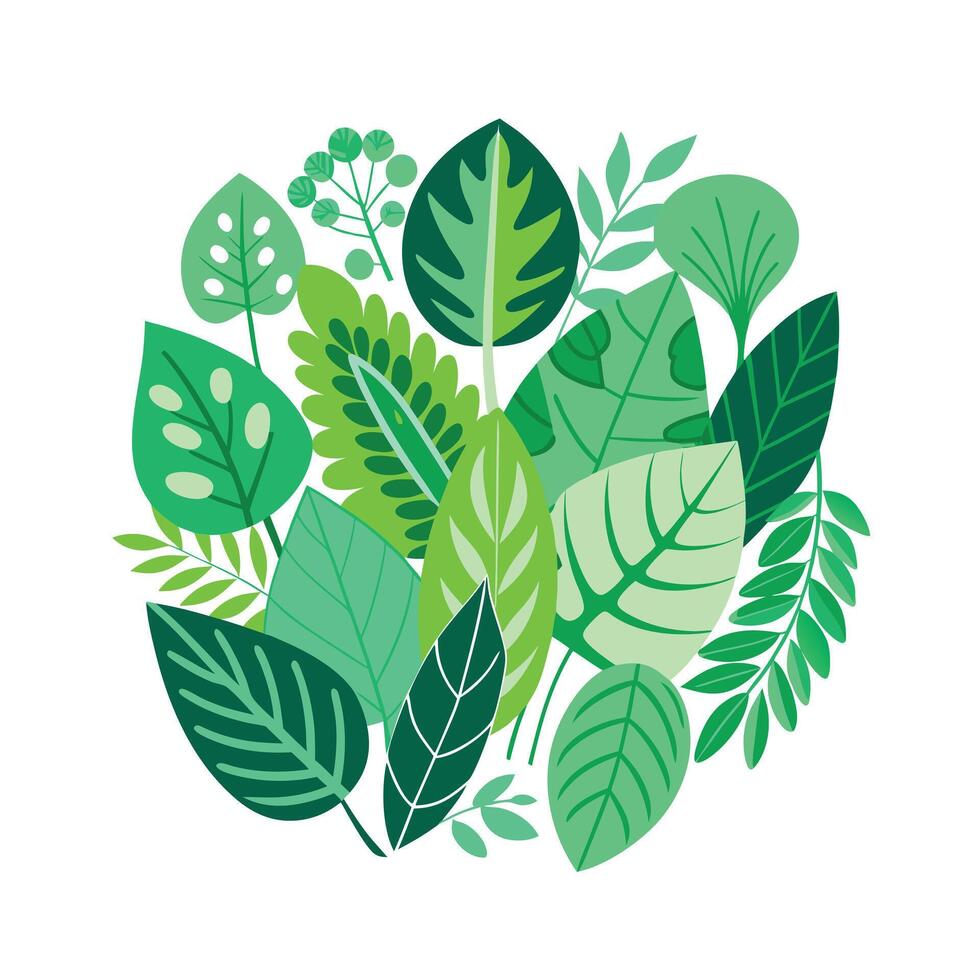 Realistic Beautiful Leaves Illustration vector