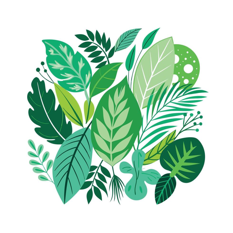 Realistic Beautiful Leaves Illustration vector