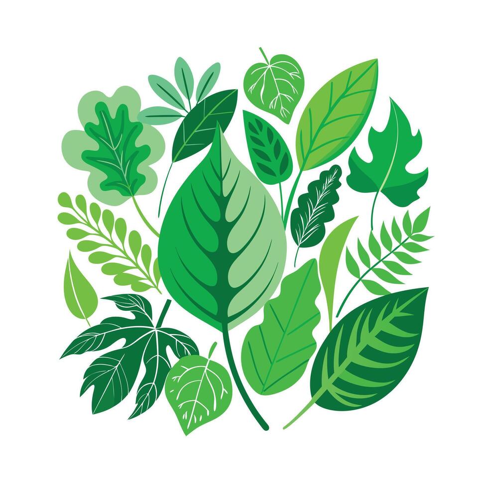 Realistic Beautiful Leaves Illustration vector