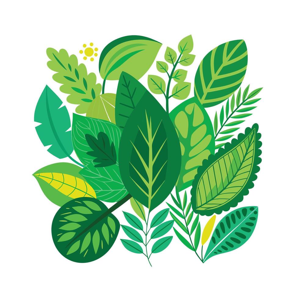 Realistic Beautiful Leaves Illustration vector