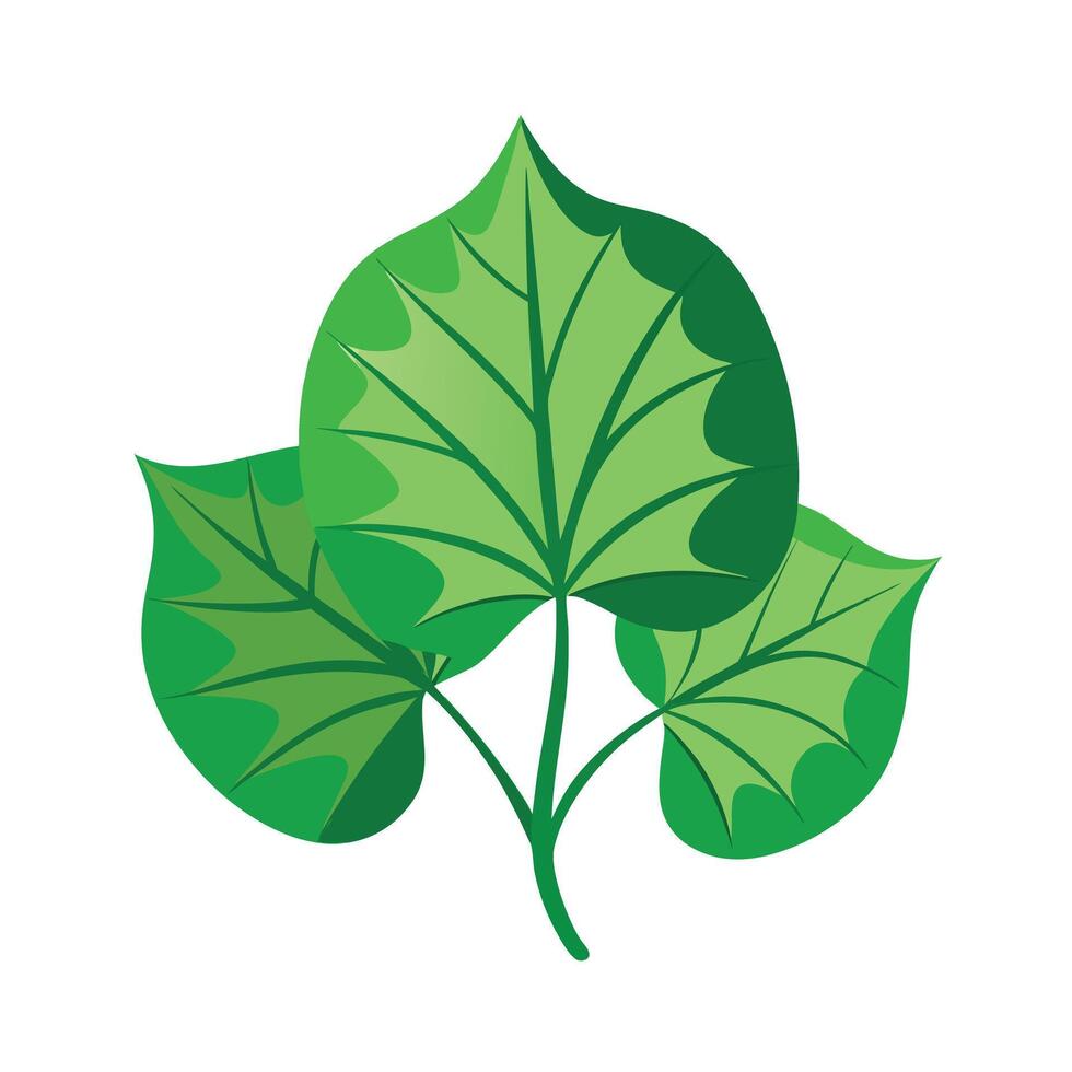 Realistic Beautiful Leaves Illustration vector