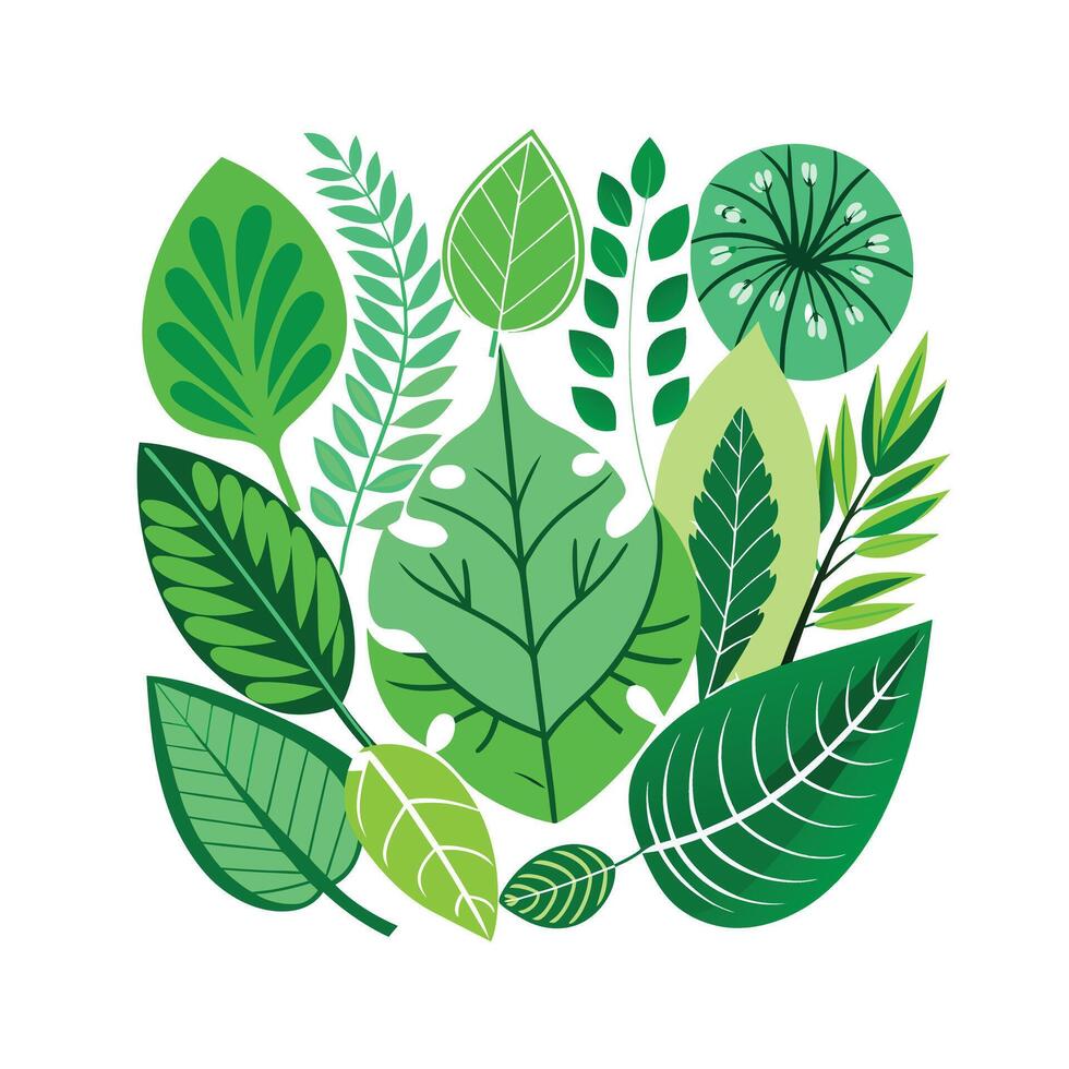 Realistic Beautiful Leaves Illustration vector