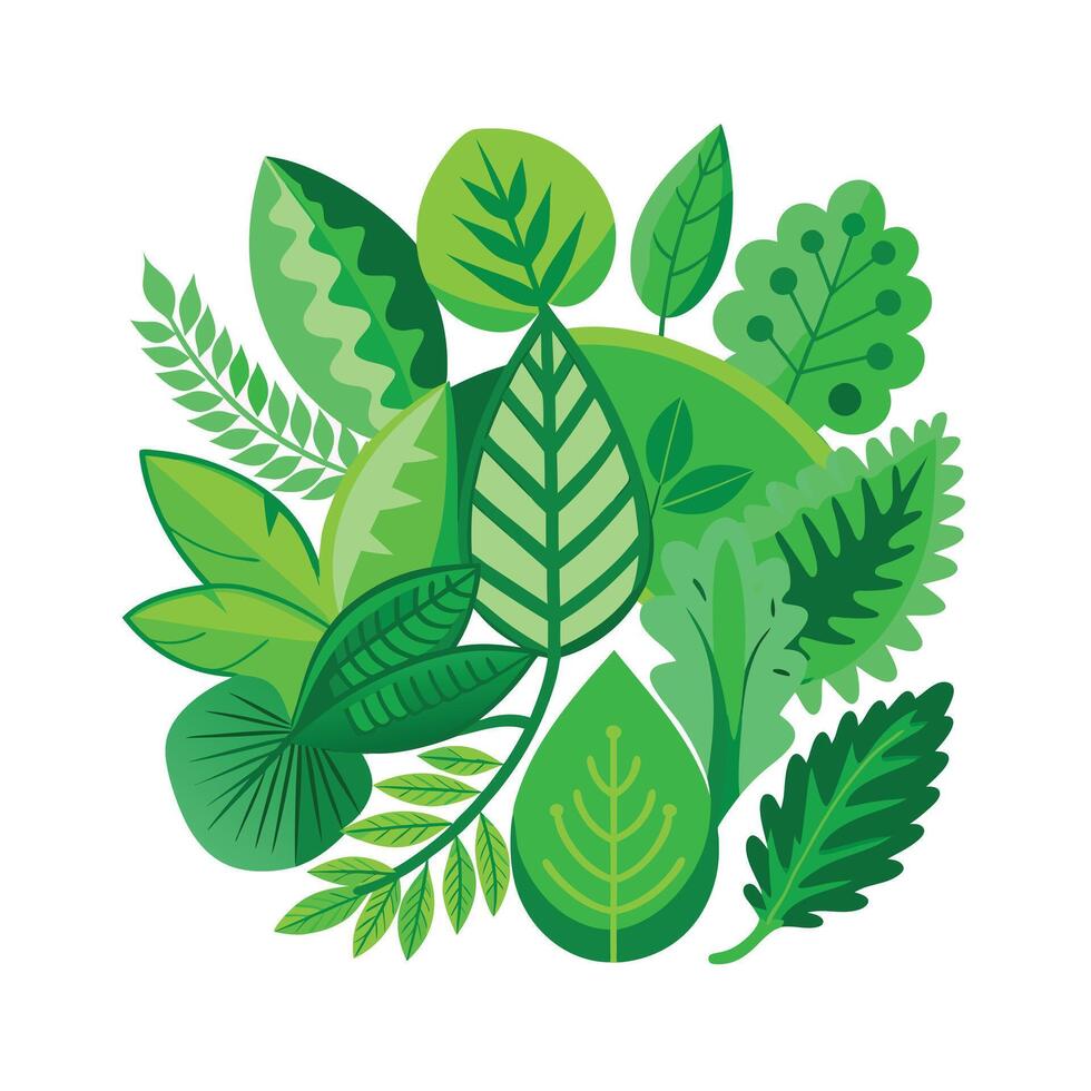 Realistic Beautiful Leaves Illustration vector