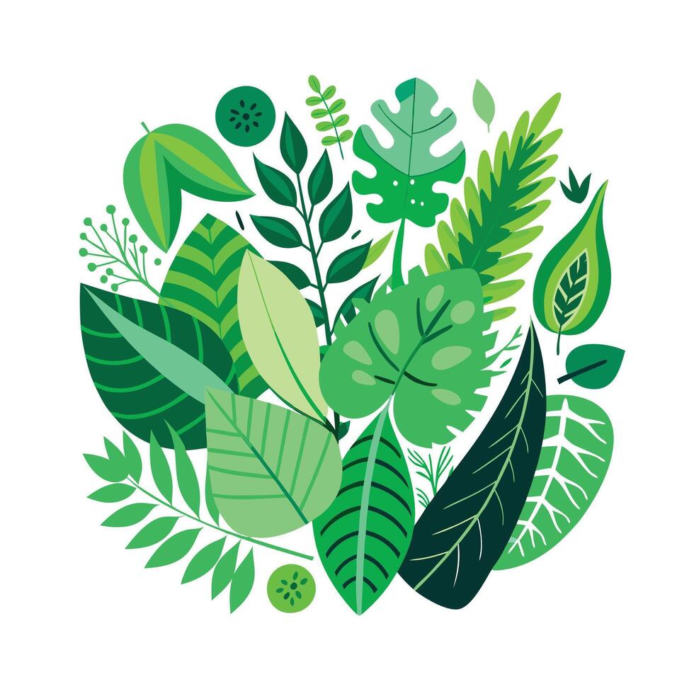 Realistic Beautiful Leaves Illustration vector