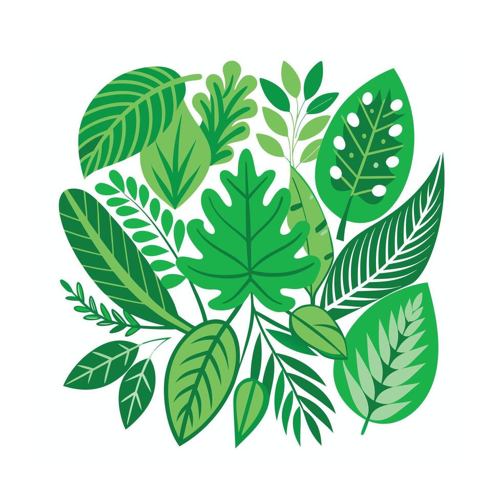 Realistic Beautiful Leaves Illustration vector
