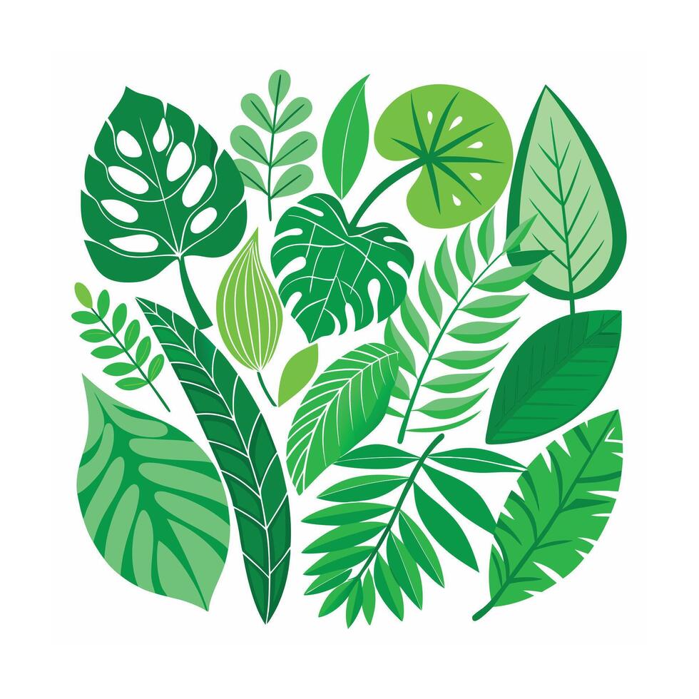 Realistic Beautiful Leaves Illustration vector