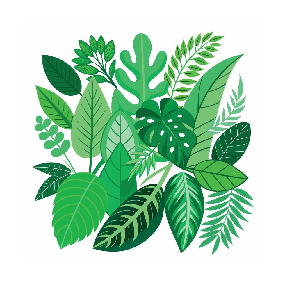 Realistic Beautiful Leaves Illustration vector