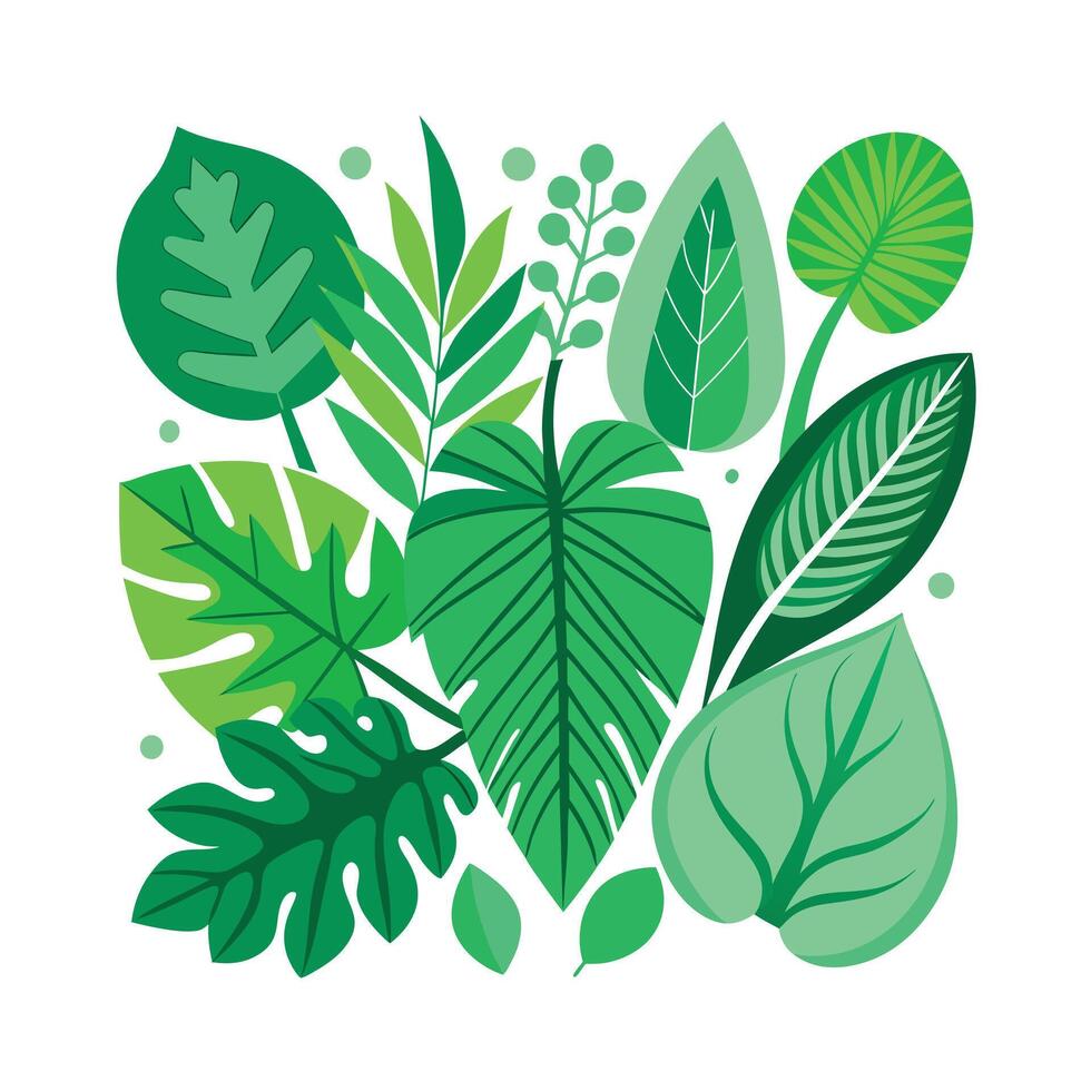 Realistic Beautiful Leaves Illustration vector