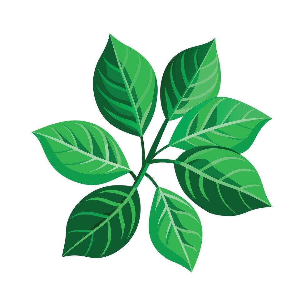 Realistic Beautiful Leaves Illustration vector