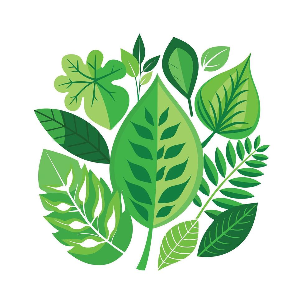 Realistic Beautiful Leaves Illustration vector
