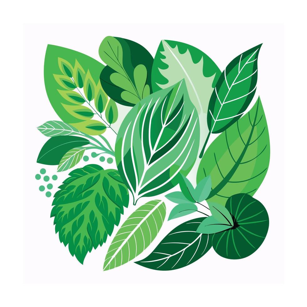 Realistic Beautiful Leaves Illustration vector