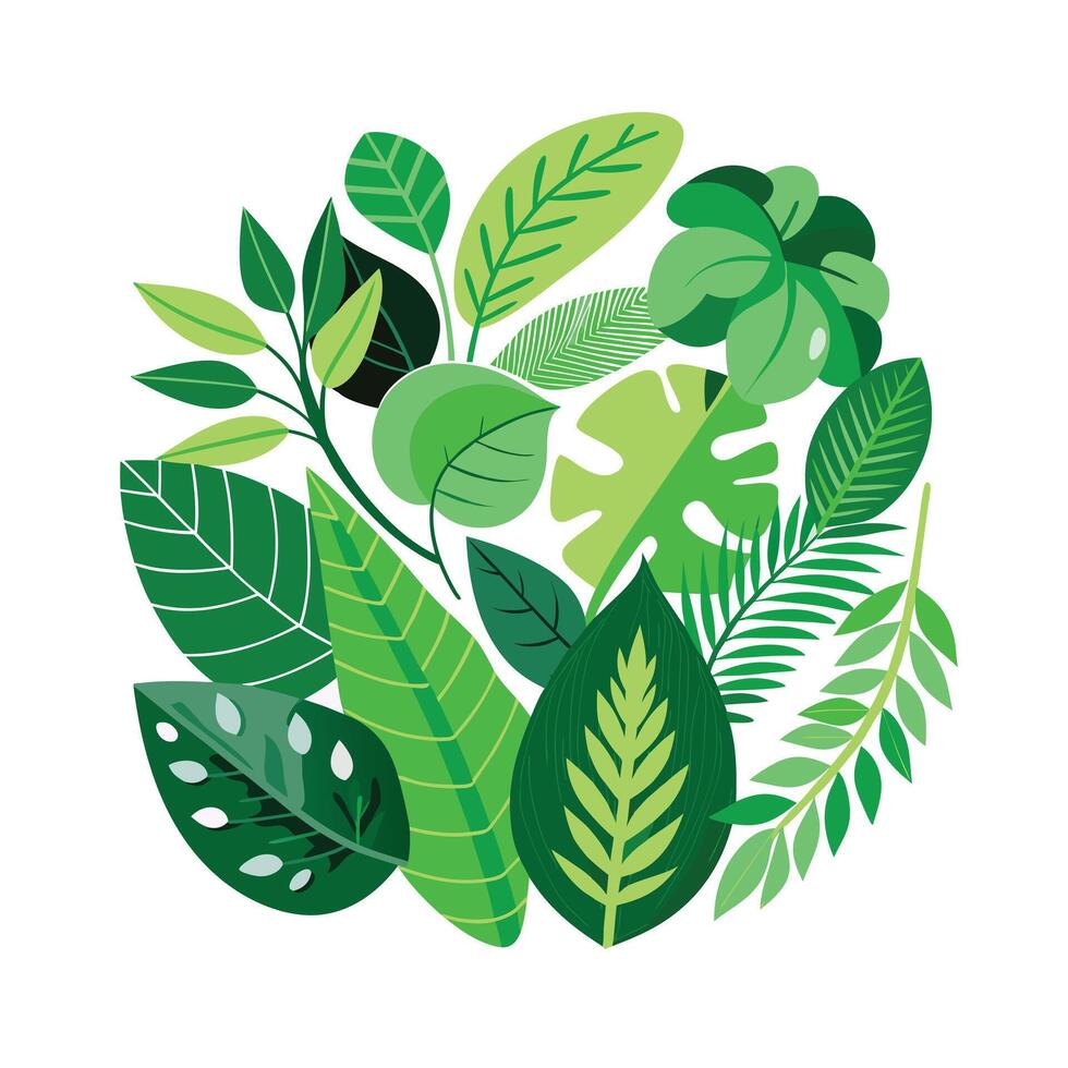 Realistic Beautiful Leaves Illustration vector
