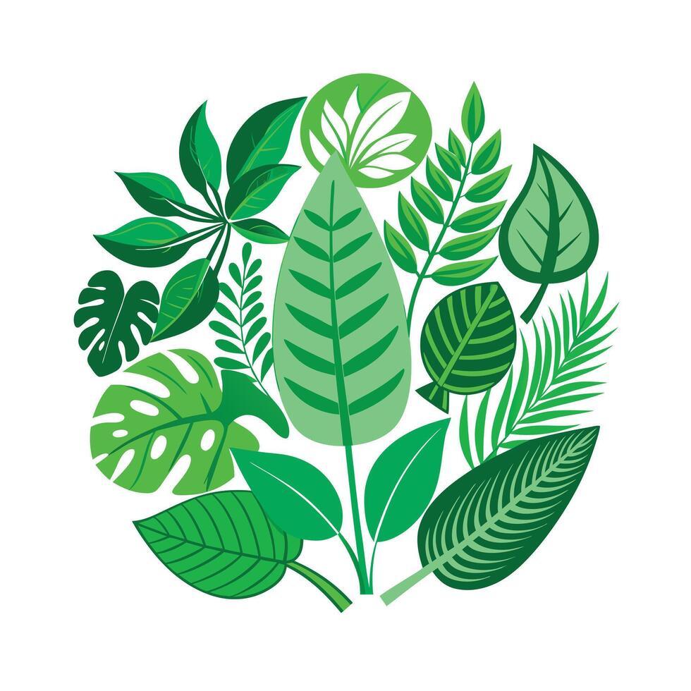 Realistic Beautiful Leaves Illustration vector