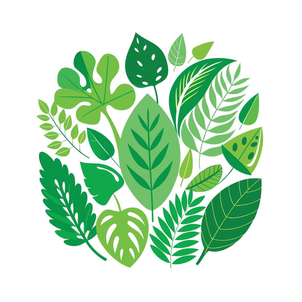 Realistic Beautiful Leaves Illustration vector