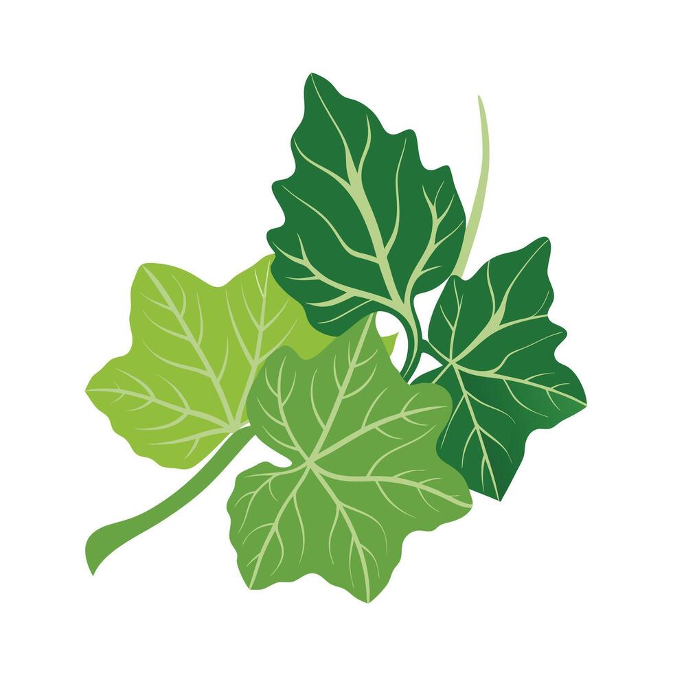 Realistic Beautiful Leaves Illustration vector