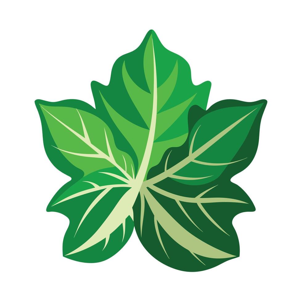 Realistic Beautiful Leaves Illustration vector