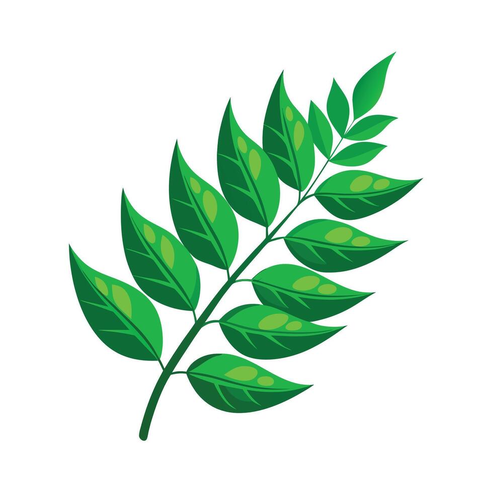 Realistic Beautiful Leaves Illustration vector