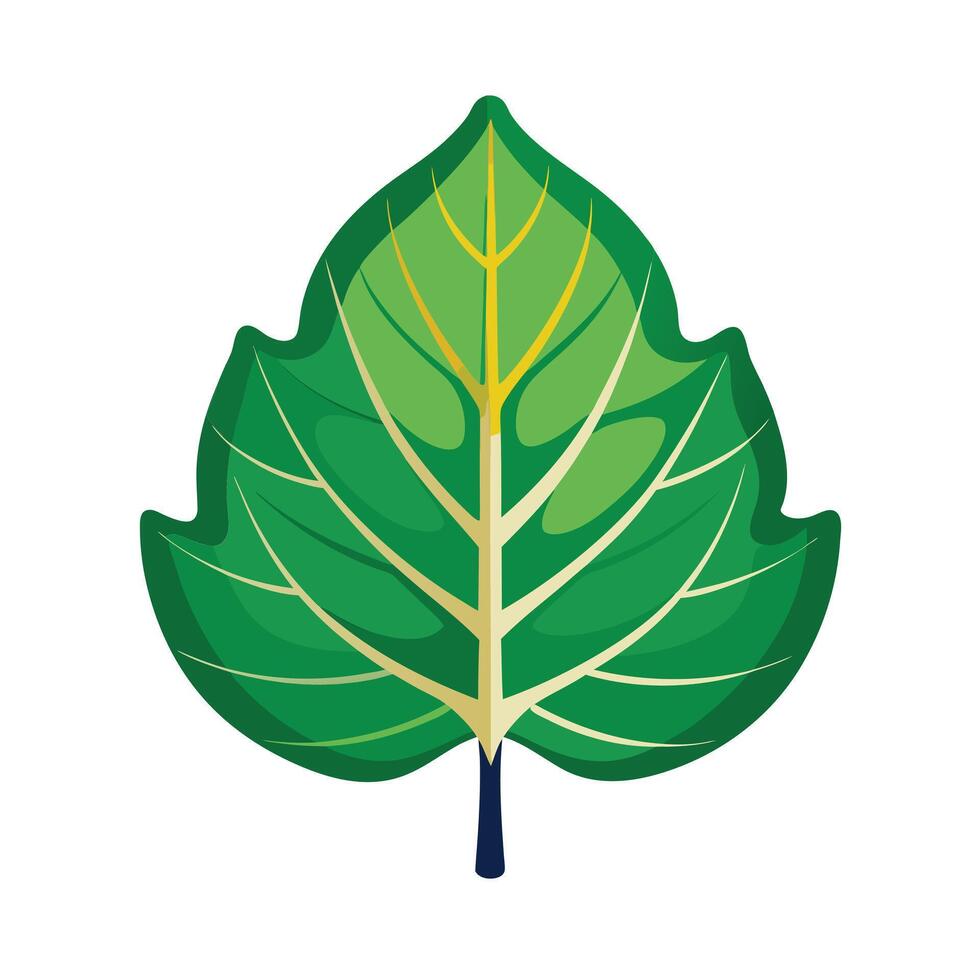 Realistic Beautiful Leaves Illustration vector