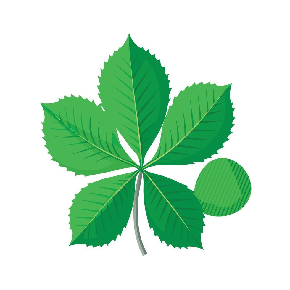 Realistic Beautiful Leaves Illustration vector