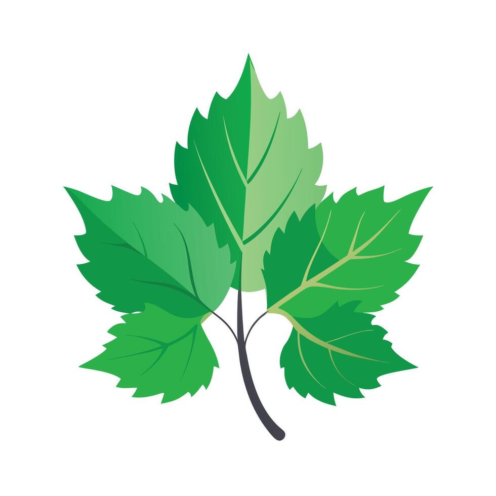 Realistic Beautiful Leaves Illustration vector