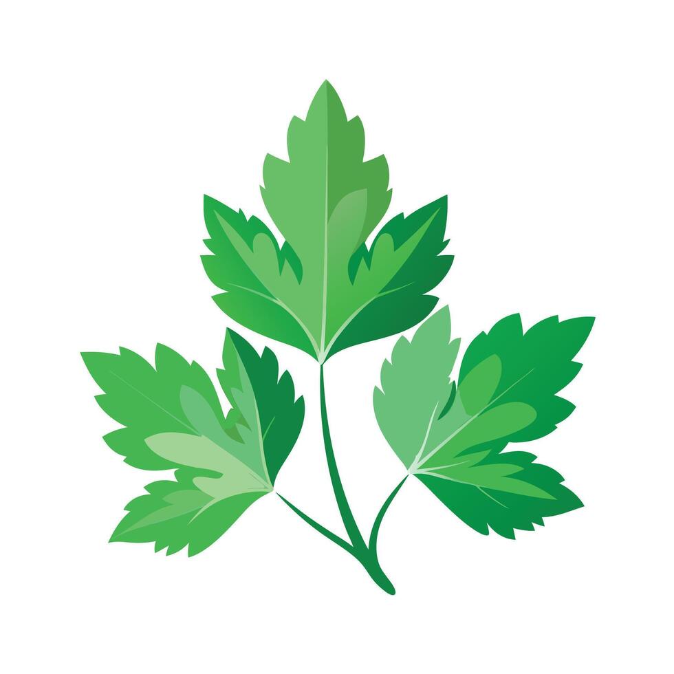 Realistic Beautiful Leaves Illustration vector