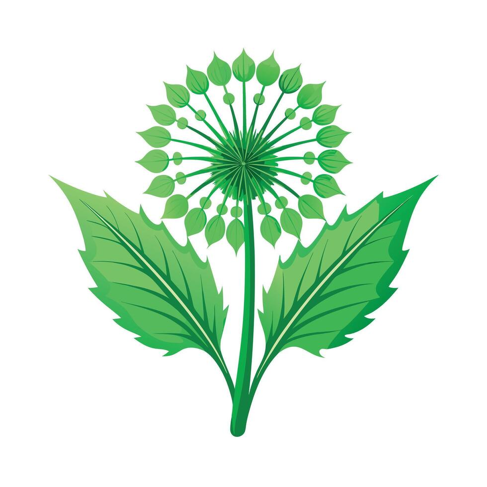 Realistic Beautiful Leaves Illustration vector
