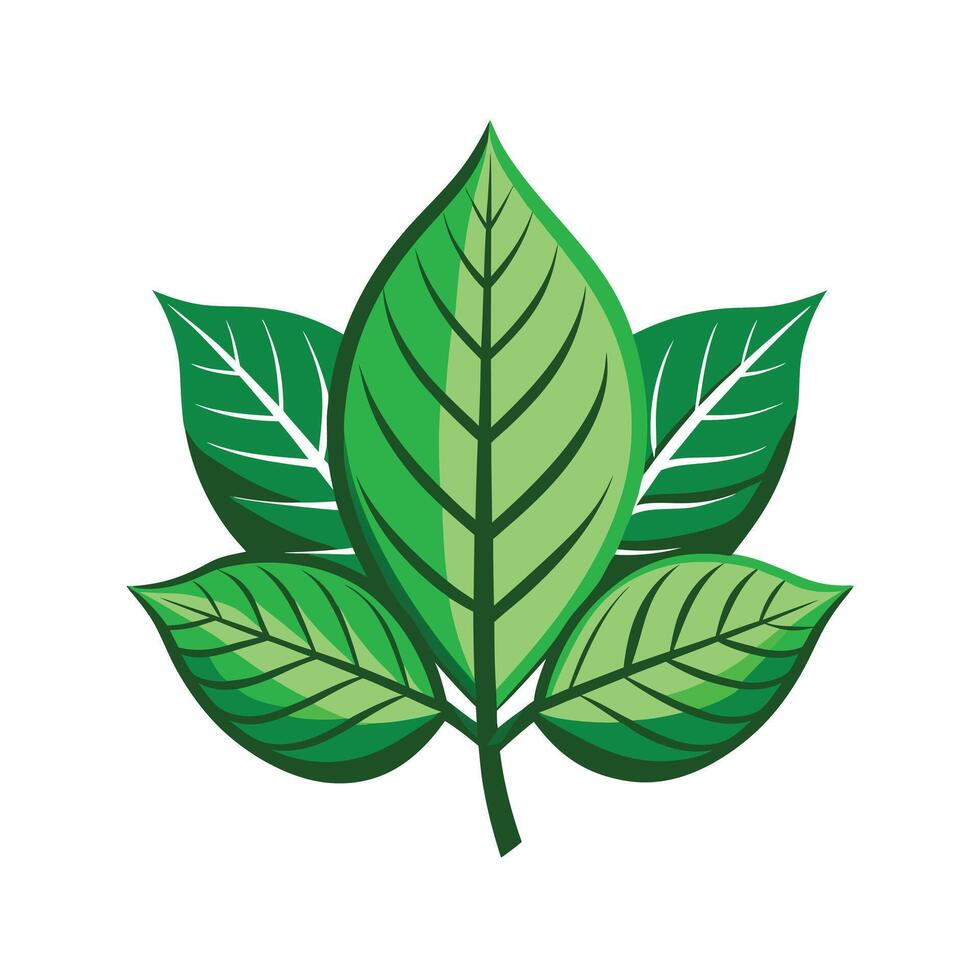 Realistic Beautiful Leaves Illustration vector