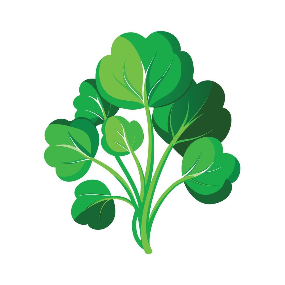 Realistic Beautiful Leaves Illustration vector