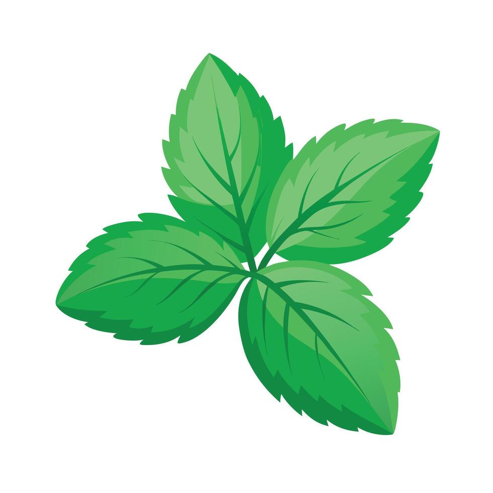 Realistic Beautiful Leaves Illustration vector