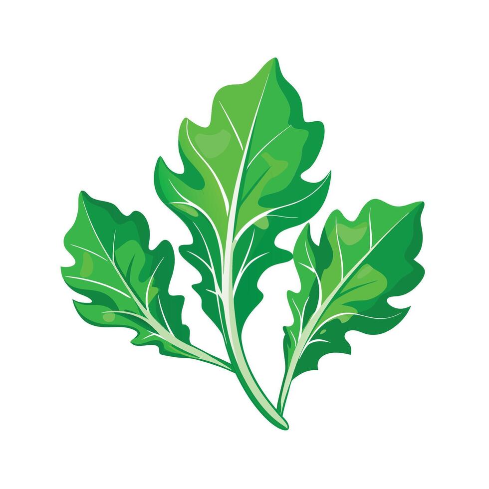 Realistic Beautiful Leaves Illustration vector