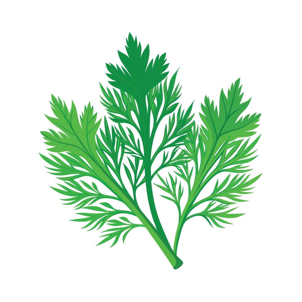 Realistic Beautiful Leaves Illustration vector