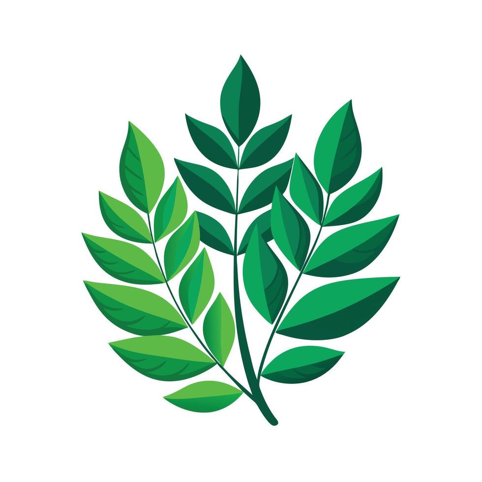 Realistic Beautiful Leaves Illustration vector