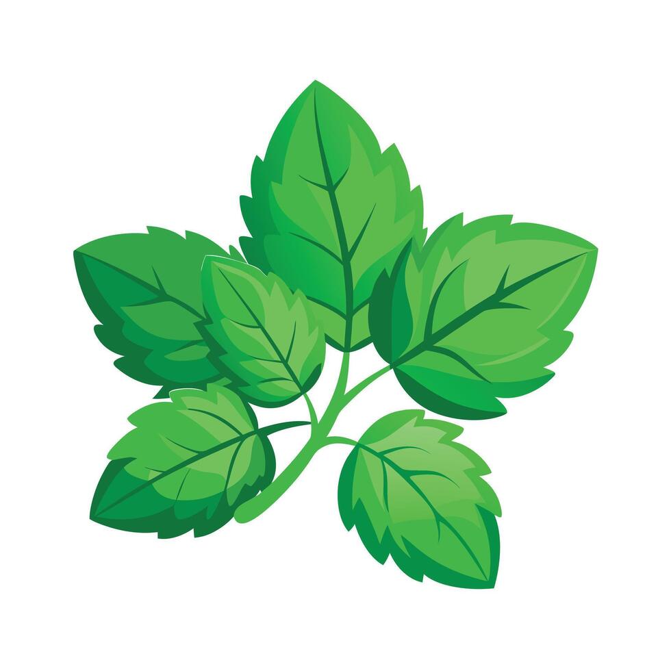 Realistic Beautiful Leaves Illustration vector