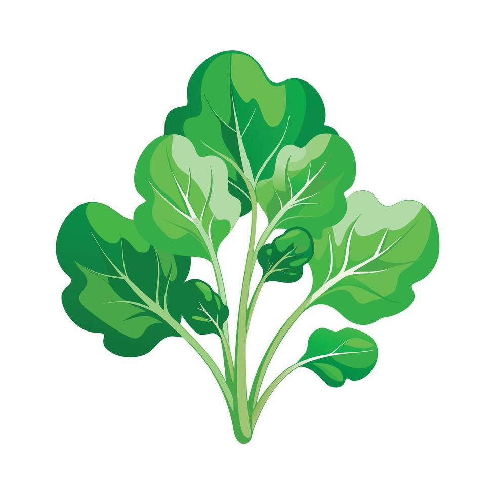 Realistic Beautiful Leaves Illustration vector
