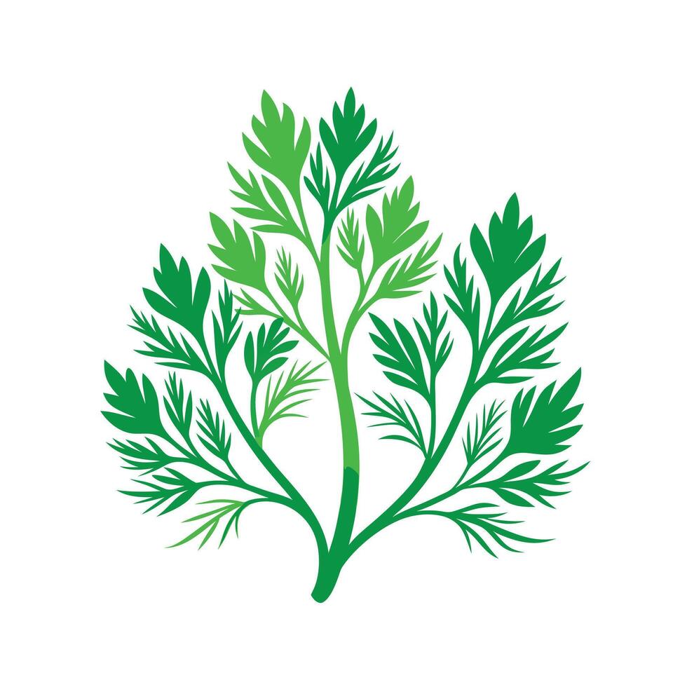 Realistic Beautiful Leaves Illustration vector