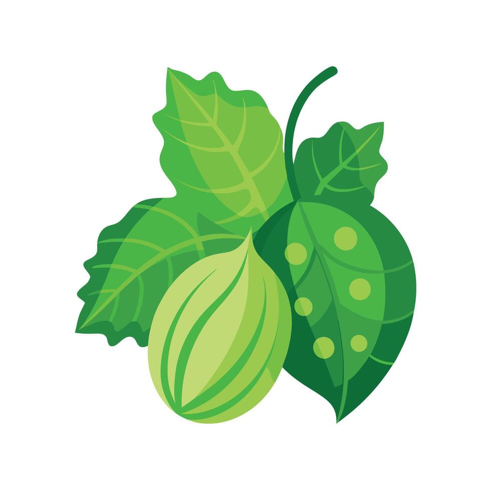 Realistic Beautiful Leaves Illustration vector