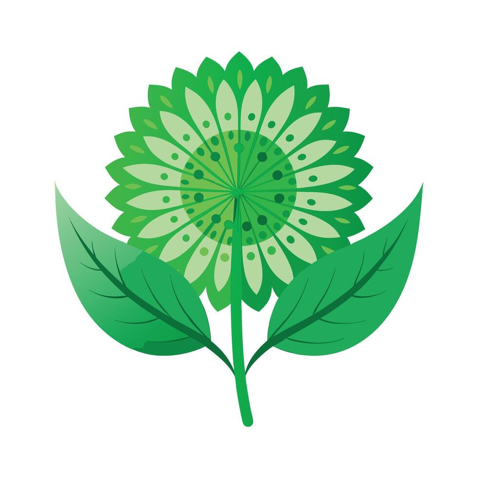 Realistic Beautiful Leaves Illustration vector