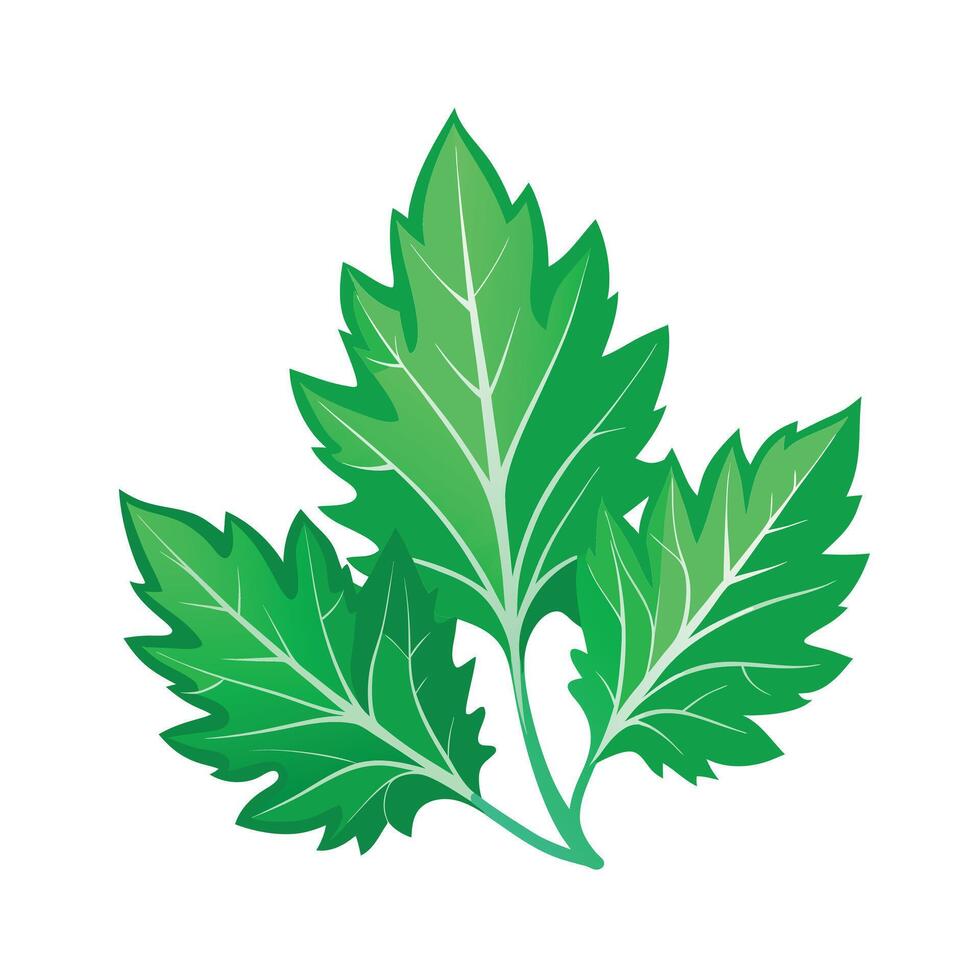 Realistic Beautiful Leaves Illustration vector