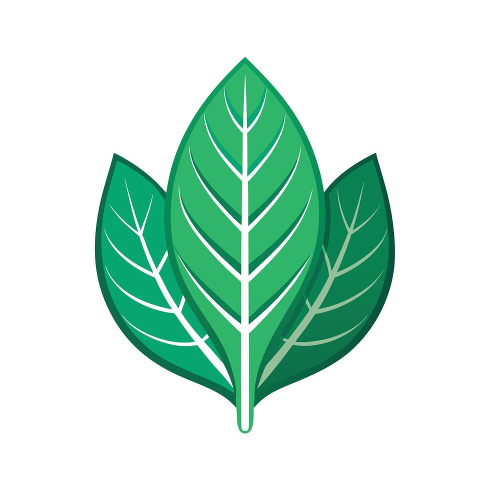 Realistic Beautiful Leaves Illustration vector