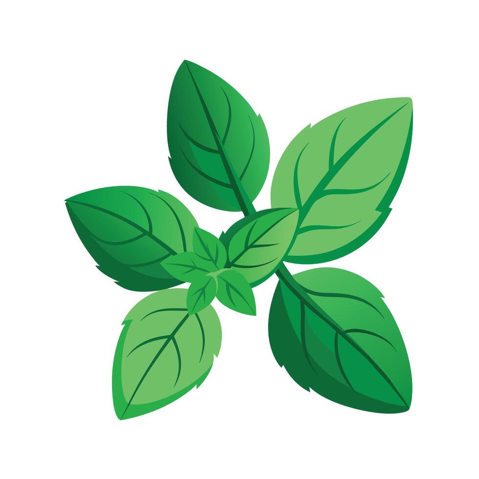Realistic Beautiful Leaves Illustration vector