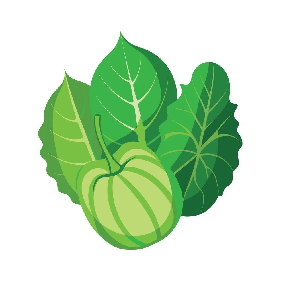 Realistic Beautiful Leaves Illustration vector