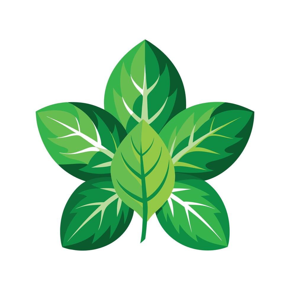 Realistic Beautiful Leaves Illustration vector