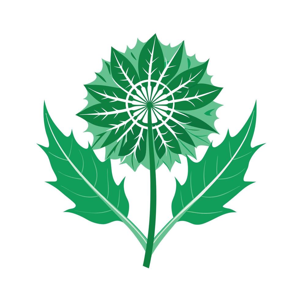 Realistic Beautiful Leaves Illustration vector