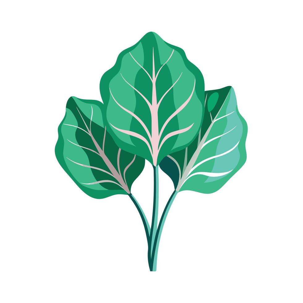 Realistic Beautiful Leaves Illustration vector