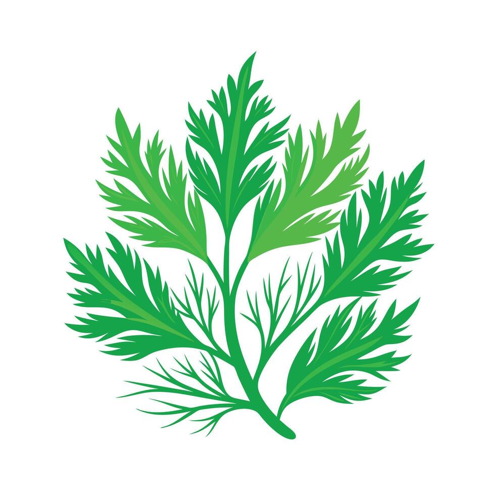 Realistic Beautiful Leaves Illustration vector