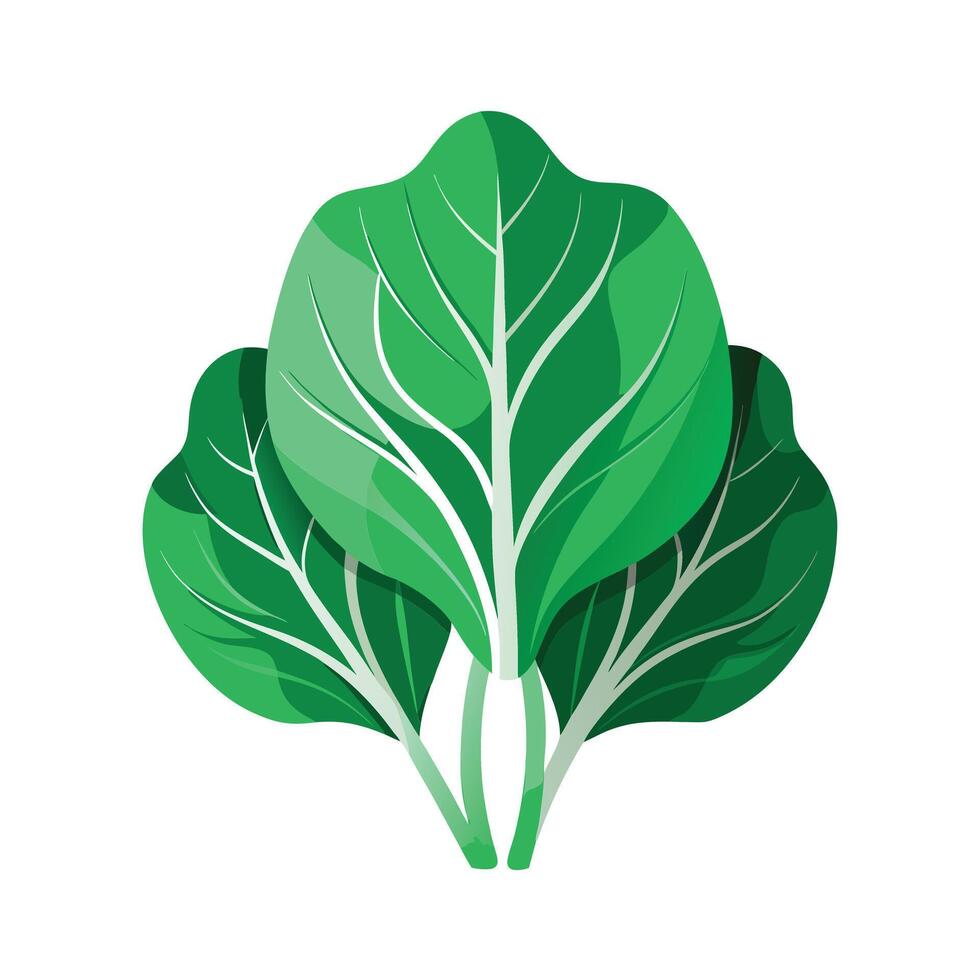 Realistic Beautiful Leaves Illustration vector