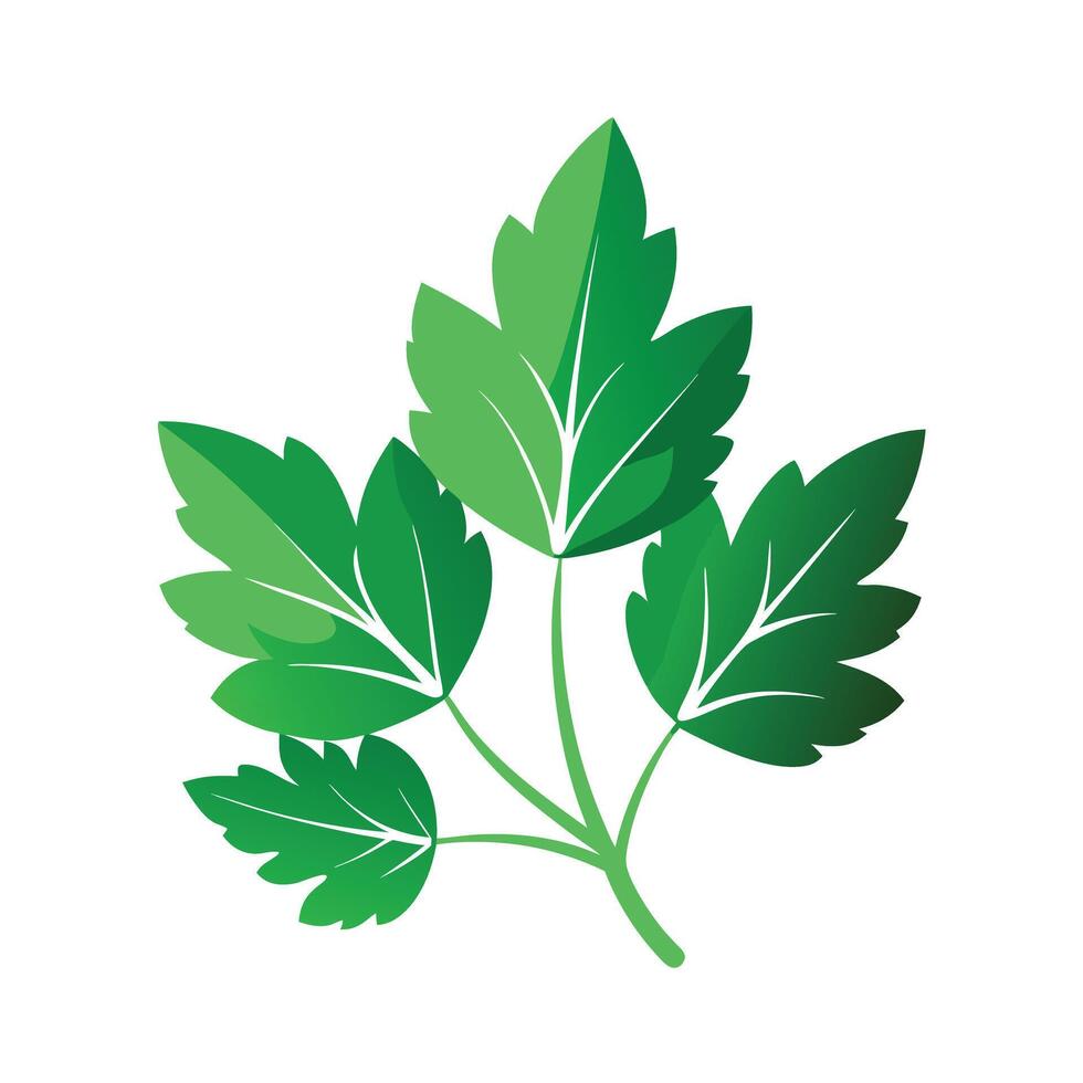 Realistic Beautiful Leaves Illustration vector
