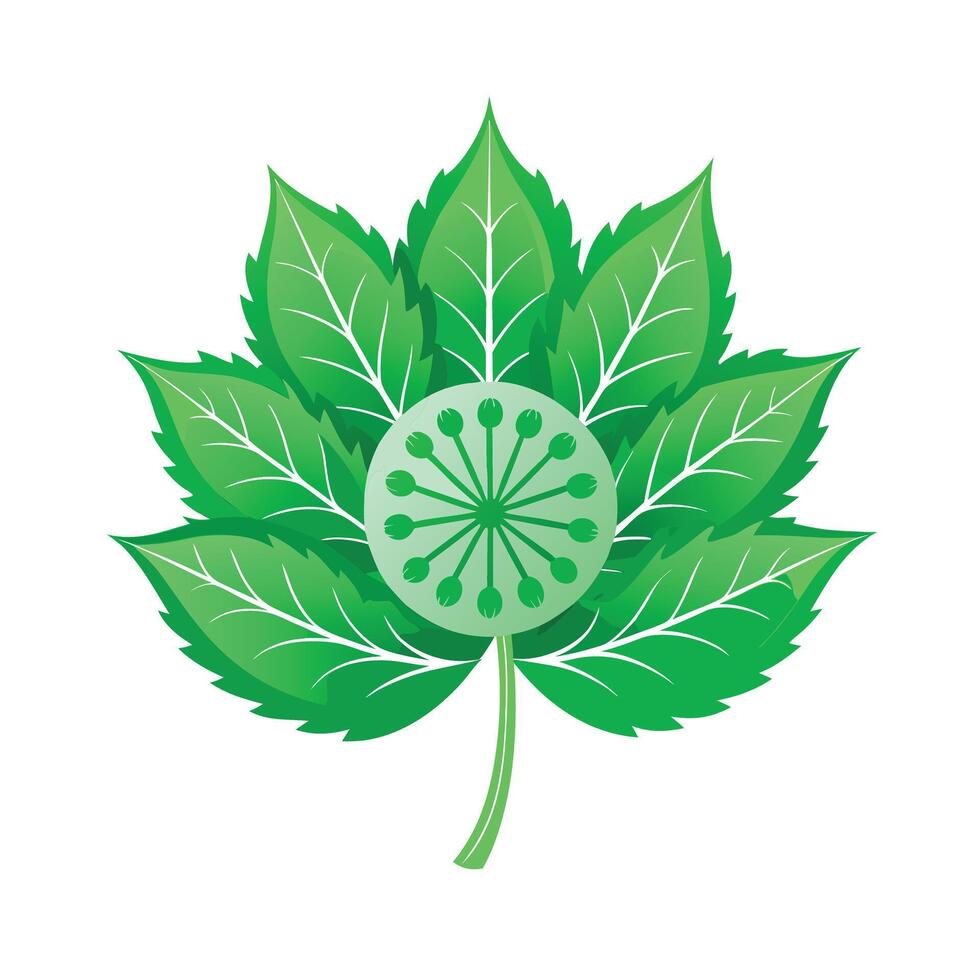 Realistic Beautiful Leaves Illustration vector